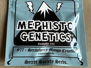 Vente: Mephisto - Strawberry Mango Crumble (5 Fem Auto Seeds)