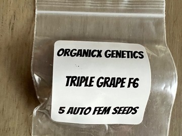Sell: Organicx Genetics - Triple Grape F6
