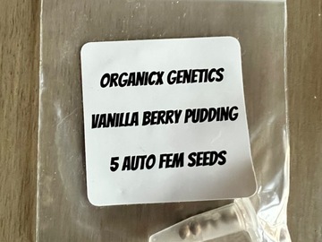 Vente: Organicx Genetics - Vanilla Berry Pudding