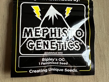 Vente: Mephisto Genetics - Ripleys OG (2 Fem Auto Seeds)