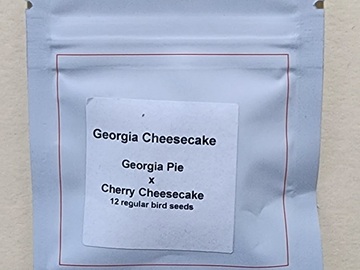 Sell: Lit Farms Georgia Cheesecake 12 pack regs