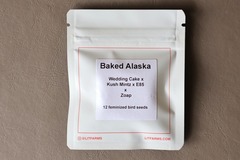 Venta: LIT Farms - Baked Alaska - 12 Fem Seeds