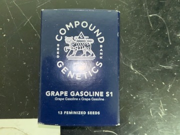 Venta: Compound genetics-Grape gasoline s1