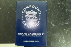 Venta: Compound genetics-Grape gasoline s1