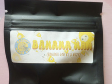 Auction: Banana Man - Masonic seeds