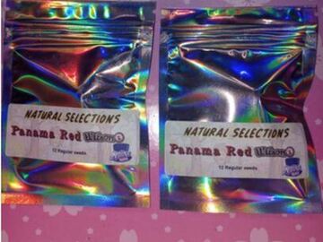 Sell: Panama Red Wilson (Natural Selections) Masonic Seeds