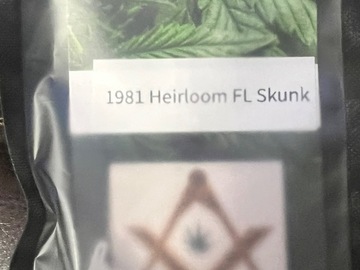 Venta: 1981 Heirloom FL Skunk (10 regular sex seeds per pack)