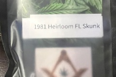 Vente: 1981 Heirloom FL Skunk 10 reg sex seeds per pack