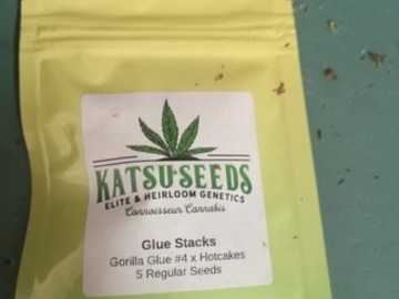 Venta: Katsu Seeds ( Glue Stacks)