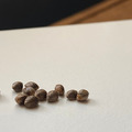 Vente: NEW! Humboldt Seed Co - THE UPSETTER - FEM Seeds (6pk+1FREE!)