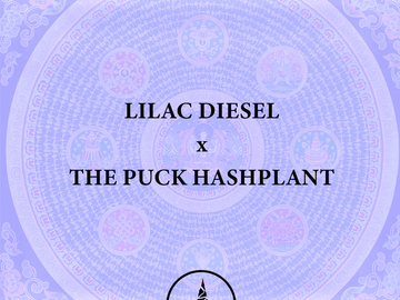 Vente: Lilac Diesel x THE PUCK Hashplant - 5.6% Terp Cut