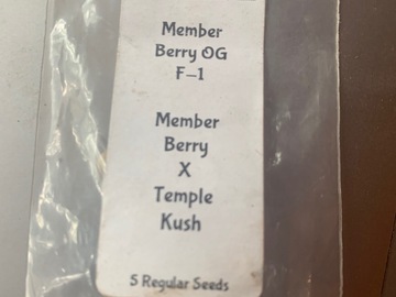 Vente: Member Berry x Temple Kush from Ethos