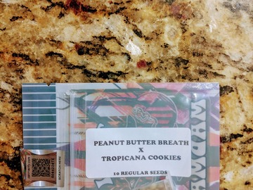 Sell: Tiki Madman - Peanut Butter Breath x Trop Cookies