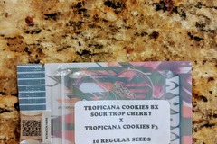 Sell: Tiki Madman - Tropicanna Cookies BX