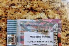 Sell: Tiki Madman - Wedding Punch x Sunset Sherb BX