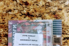 Sell: Tiki Madman - Pink Rozay x Sherbert Ripple