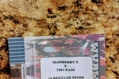 Vente: Tiki Madman - Blooberry Hurricane