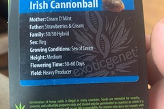 Vente: Irish Cannonball from Exotic