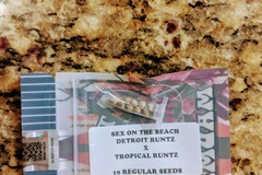 Vente: Tiki Madman - Sex on the Beach