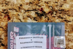 Vente: Tiki Madman - Forbidden Zkittlez x Raspberry Boogie