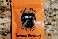 Vente: Thug Pug - Banana Breath #2
