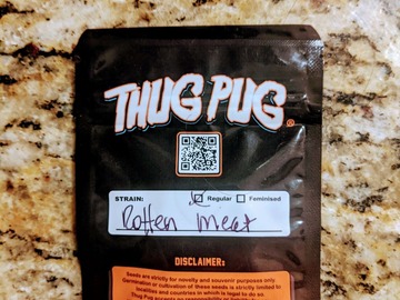 Sell: Thug Pug - Rotten Meat