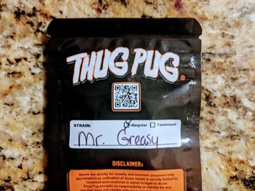 Sell: Thug Pug - Mr.Greasy