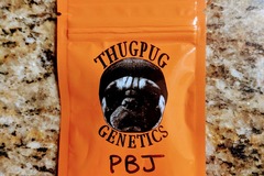 Vente: Thug Pug - Peanut Butter & Jelly