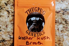 Venta: Thug Pug - Kosher Kush Breath