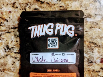 Sell: Thug Pug - White Unicorn