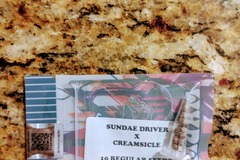 Vente: Tiki Madman - Sundae Driver x Creamsicle