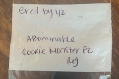 Sell: Abominable Cookie Monster F2