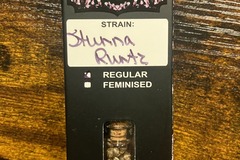 Sell: Stunna Runtz from Relentless