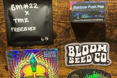 Vente: NEW Rainbow Push Pop from Bloom