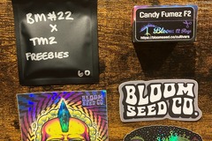 Vente: Candy Fumez F2 from Bloom