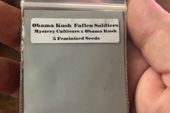 Venta: Obama Kush Fallen Soldiers