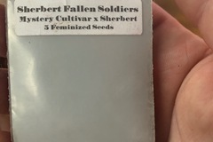 Vente: Sherbert Fallen Soldiers