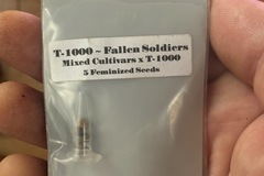 Sell: T-1000 Fallen Soldiers