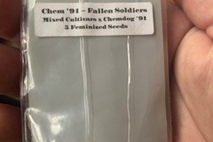Vente: Chem '91 Fallen Soldiers