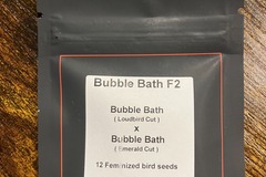 Sell: Bubble Bath F2 from LIT Farms