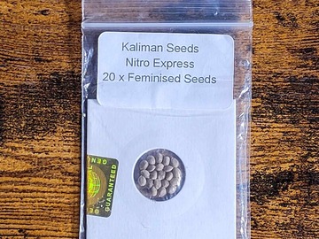 Sell: Kaliman Seeds Nitro Express 20+ Fem