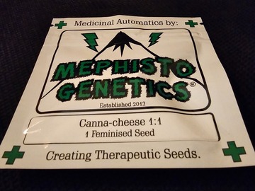 Sell: Mephisto Genetics Canna Cheese 1:1 2 Pack