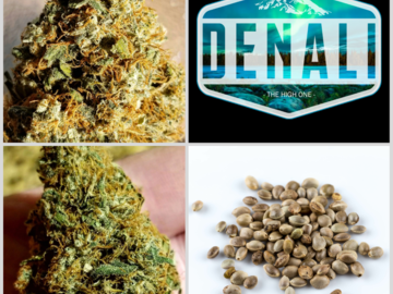 Sell: Denali Collection 10 Packs 108 Seeds