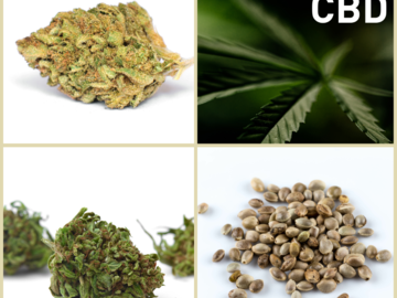 Sell: CBD Collection 10 Packs 120 Seeds