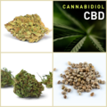Sell: SALE CBD Collection 10 Packs 120 Seeds