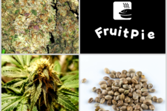 Vente: Fruit Pie Collection 5 Packs 54 Seeds