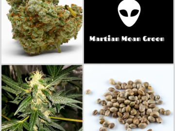 Sell: Martian Mean Green Collection 5 Packs 60 Seeds