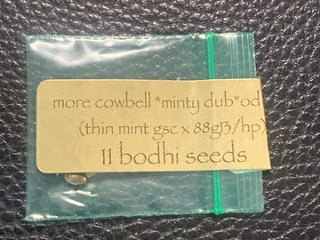 Venta: More Cowbell Minty Dub Edition (Thin Mint GSC x 88G13) - Bodhi