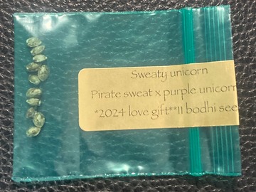 Sell: Sweaty Unicorn (Pirate Sweat x Purple Unicorn) - Bodhi Seeds