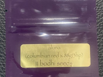 Vente: Aluna (Columbian Red x 88G13HP) - Bodhi Seeds